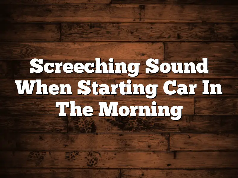 Screeching Sound When Starting Car In The Morning