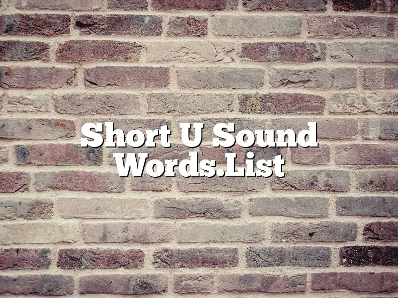 Short U Sound Words.List