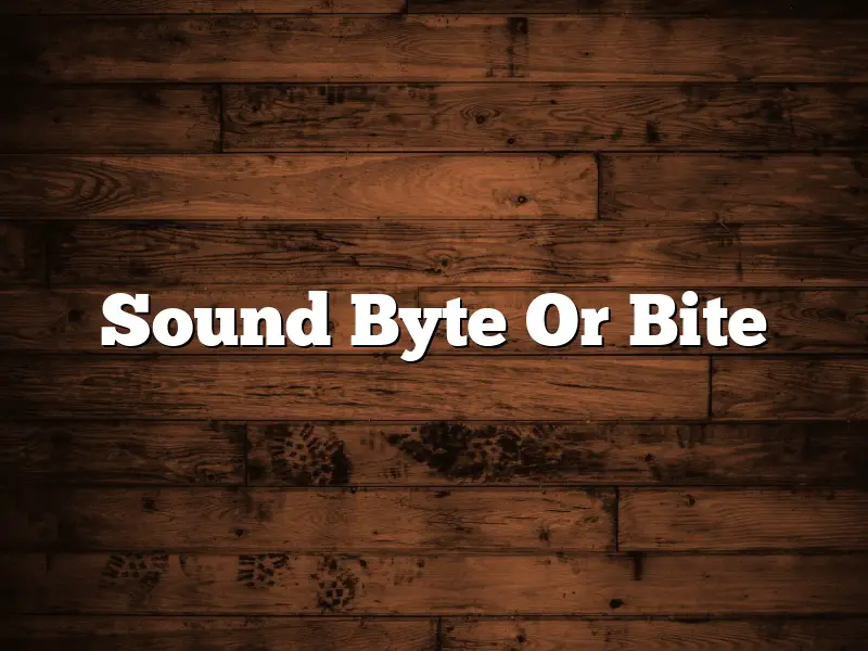 Sound Byte Or Bite
