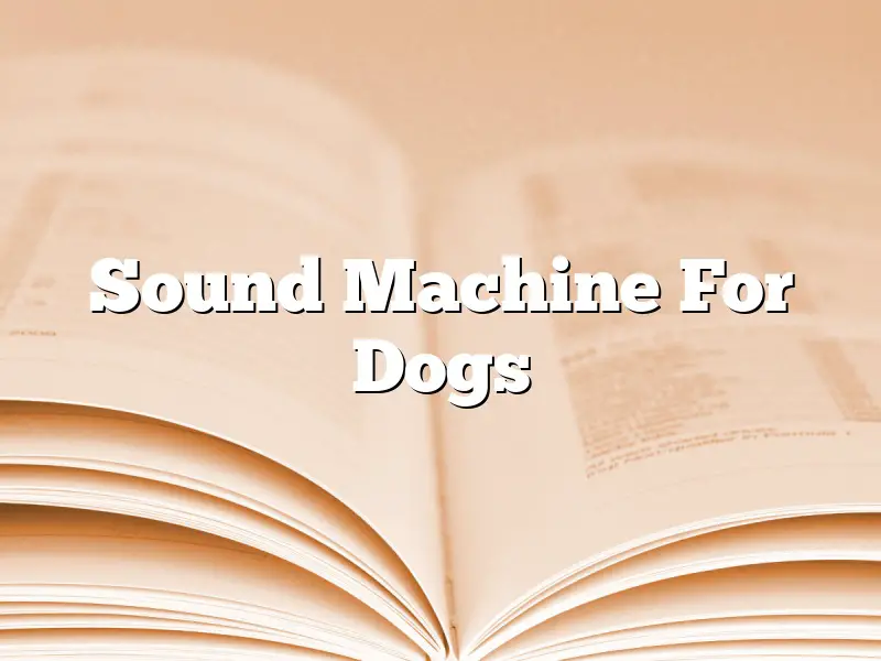 Sound Machine For Dogs
