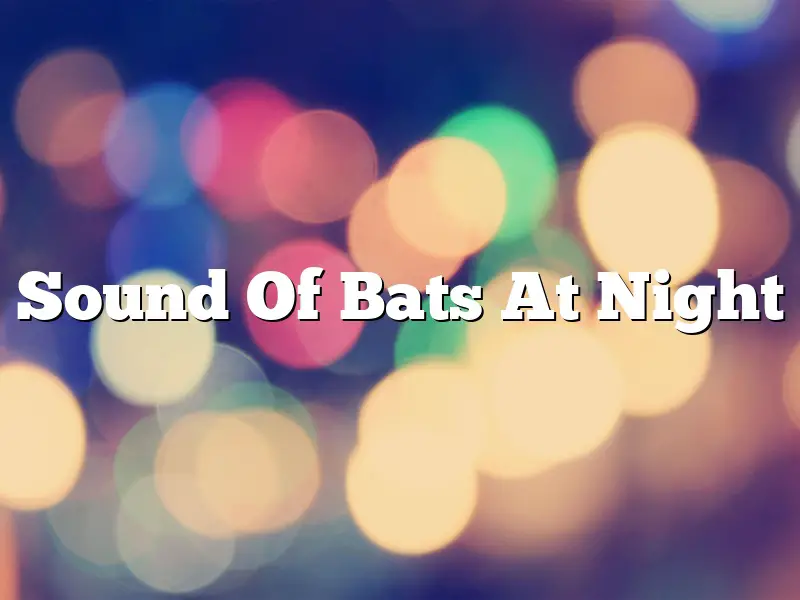 Sound Of Bats At Night