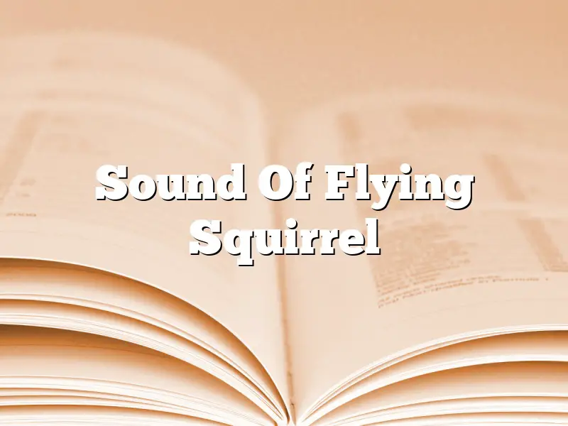 Sound Of Flying Squirrel