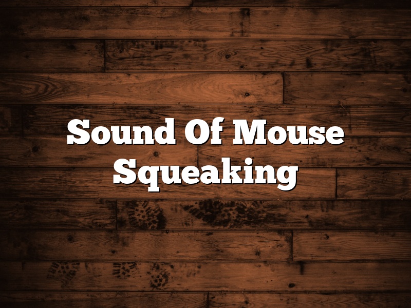 Sound Of Mouse Squeaking