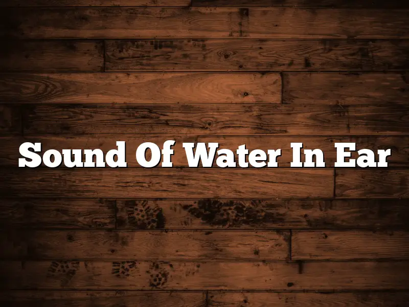 Sound Of Water In Ear