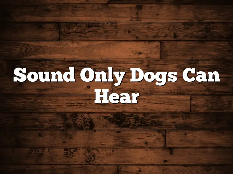 Sound Only Dogs Can Hear