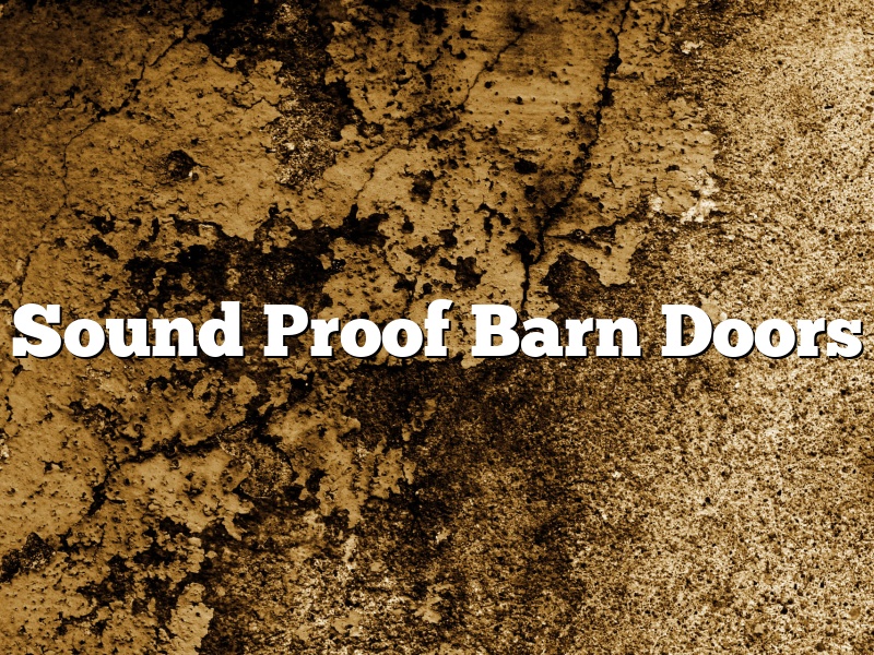 Sound Proof Barn Doors