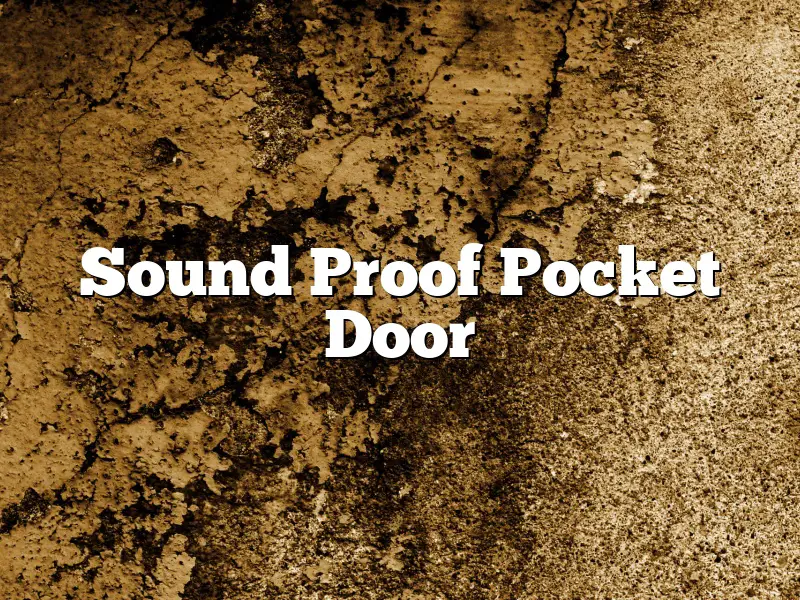 Sound Proof Pocket Door