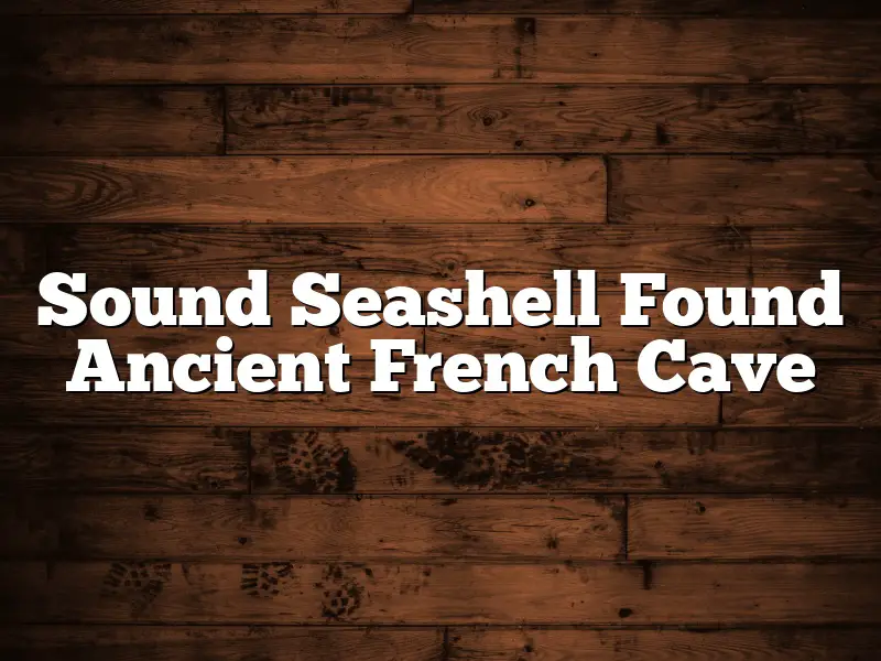 Sound Seashell Found Ancient French Cave
