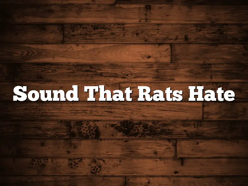 Sound That Rats Hate