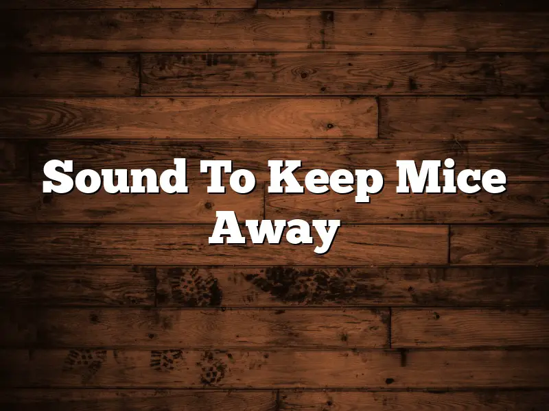 Sound To Keep Mice Away