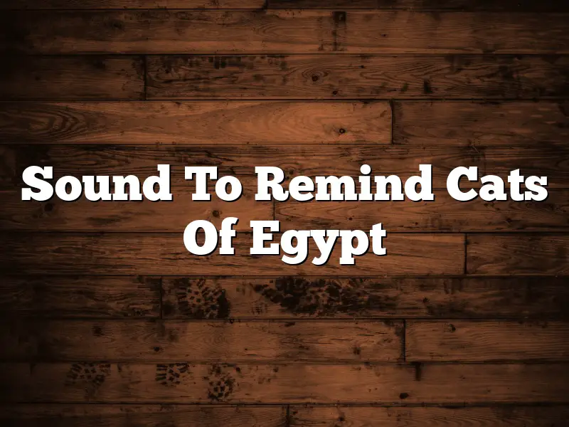 Sound To Remind Cats Of Egypt