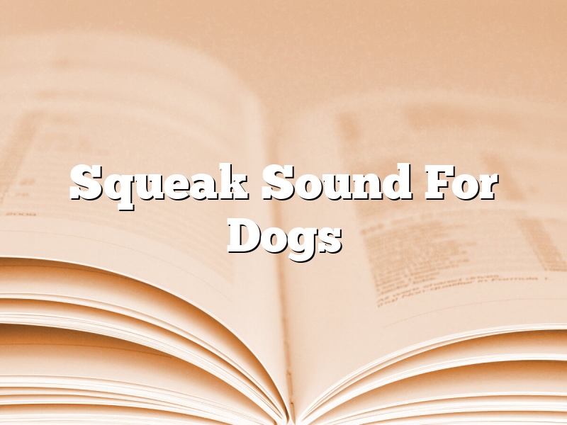 Squeak Sound For Dogs