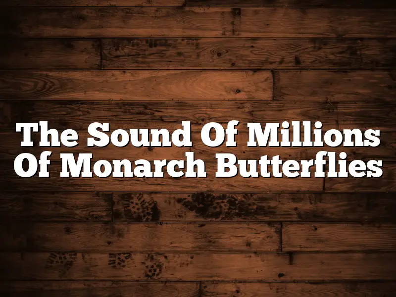 The Sound Of Millions Of Monarch Butterflies