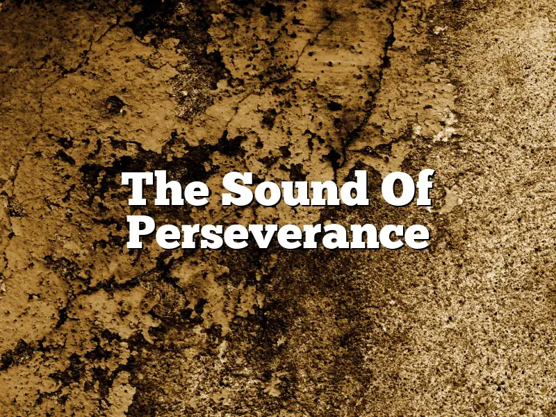 The Sound Of Perseverance