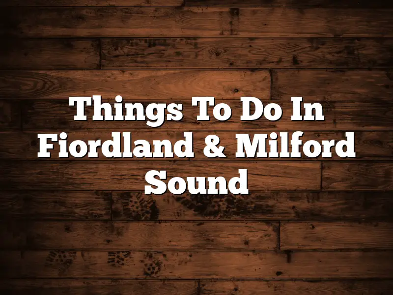 Things To Do In Fiordland & Milford Sound