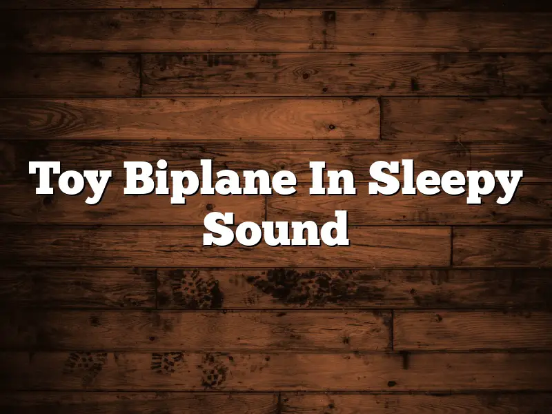 Toy Biplane In Sleepy Sound