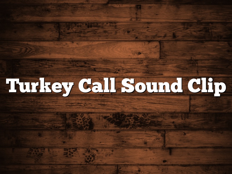 Turkey Call Sound Clip