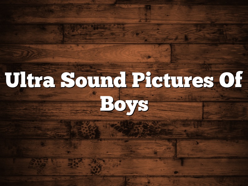 Ultra Sound Pictures Of Boys