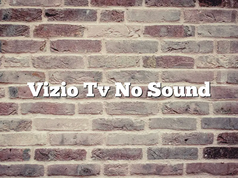Vizio Tv No Sound