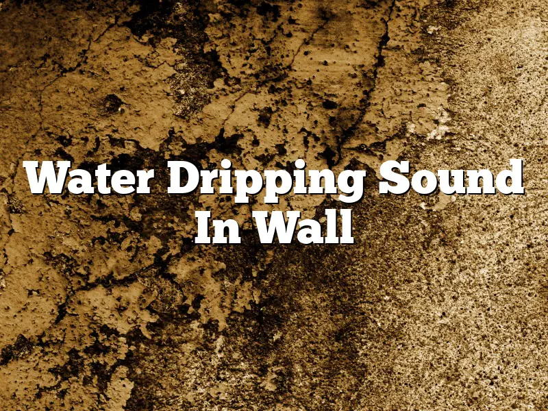 Water Dripping Sound In Wall