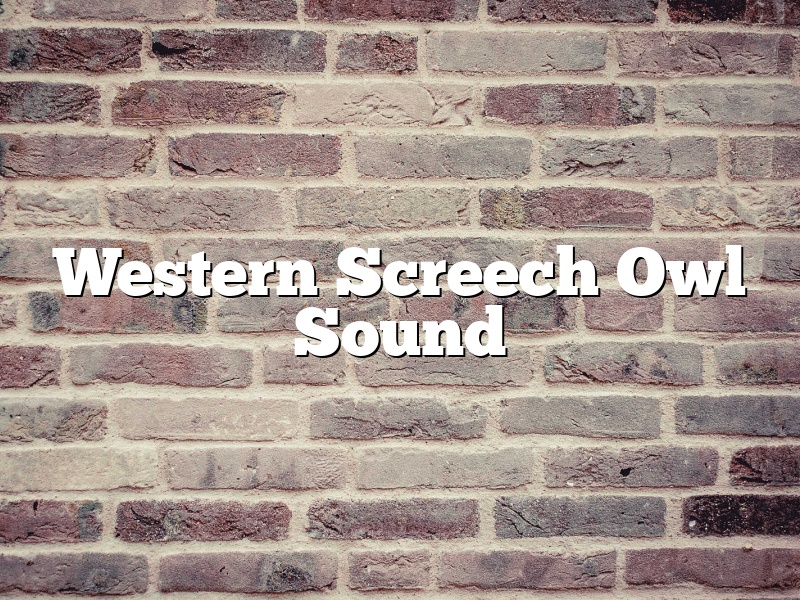 Western Screech Owl Sound