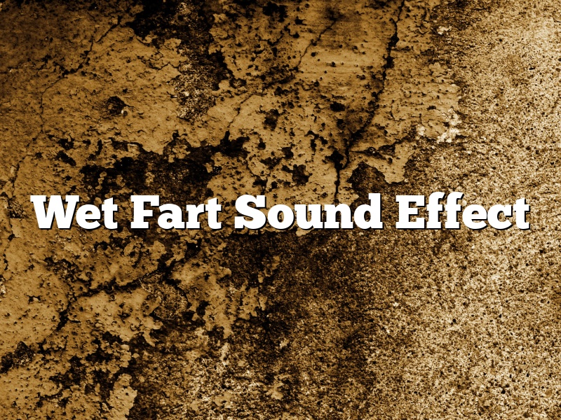 Wet Fart Sound Effect