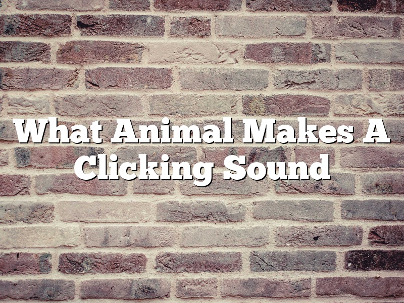 What Animal Makes A Clicking Sound