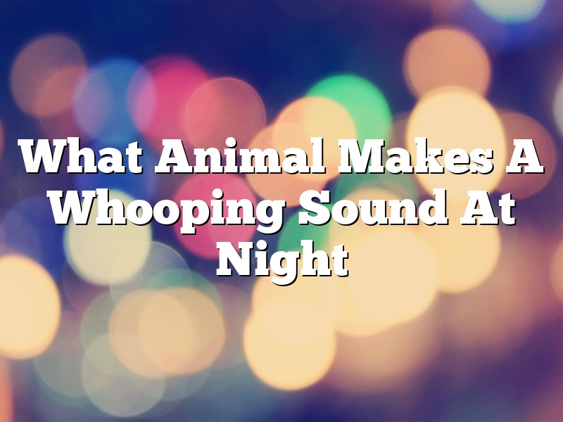 What Animal Makes A Whooping Sound At Night