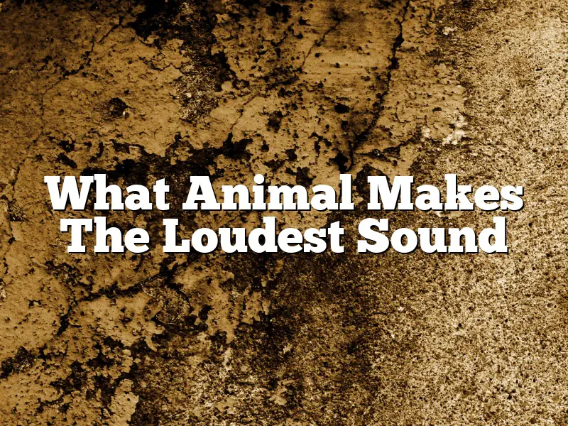 What Animal Makes The Loudest Sound
