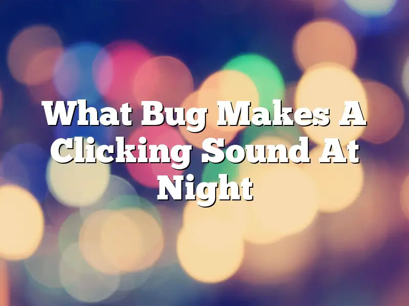 What Bug Makes A Clicking Sound At Night