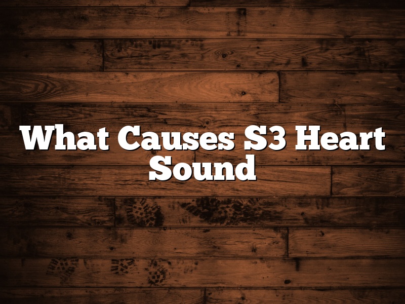 What Causes S3 Heart Sound