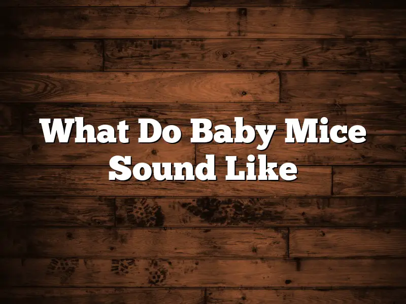 What Do Baby Mice Sound Like