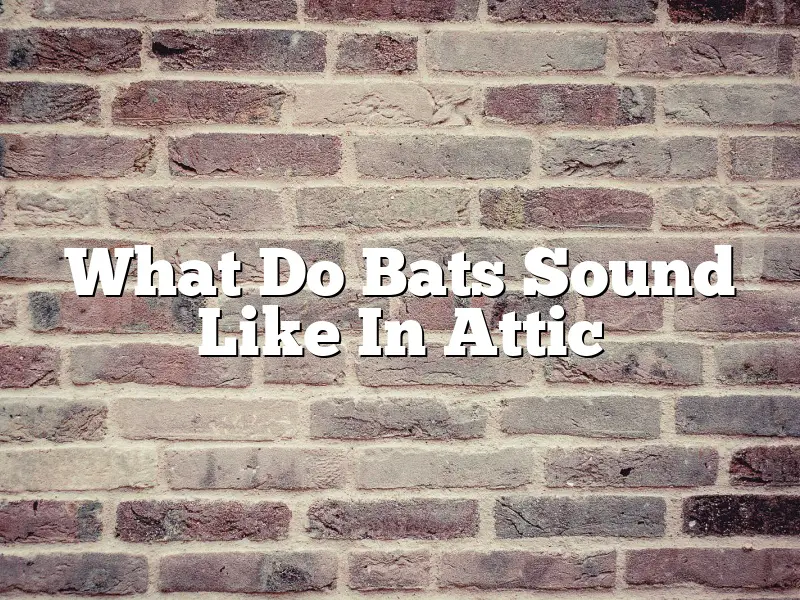 What Do Bats Sound Like In Attic