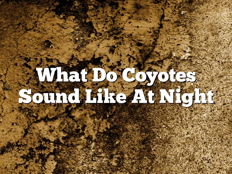 What Do Coyotes Sound Like At Night