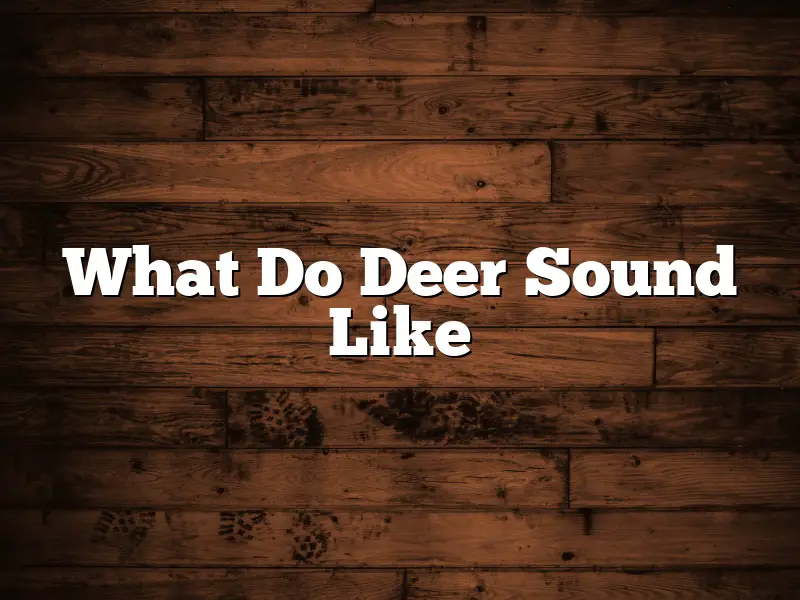 What Do Deer Sound Like