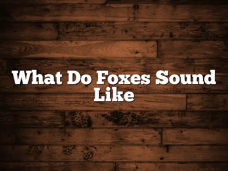 What Do Foxes Sound Like