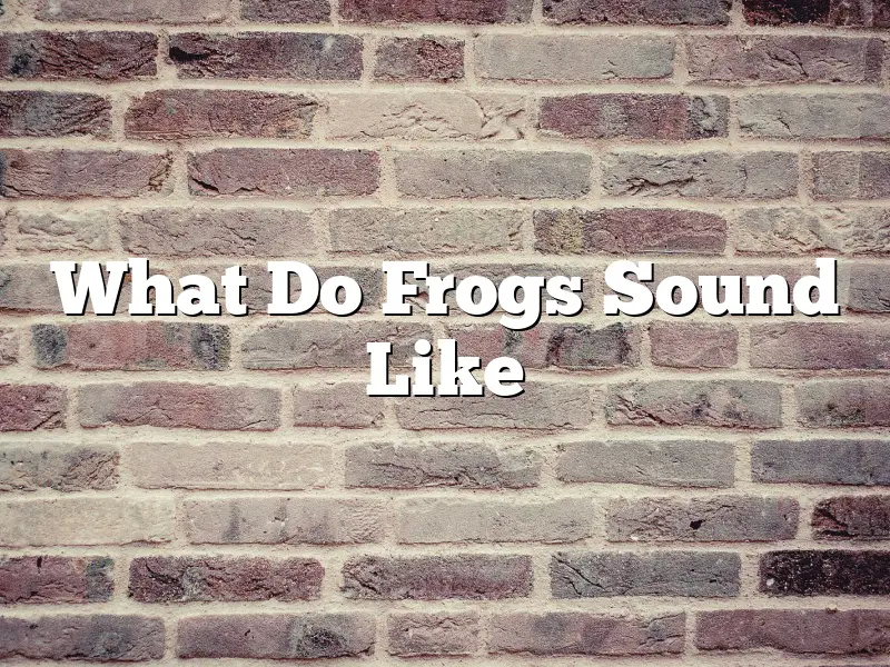 What Do Frogs Sound Like