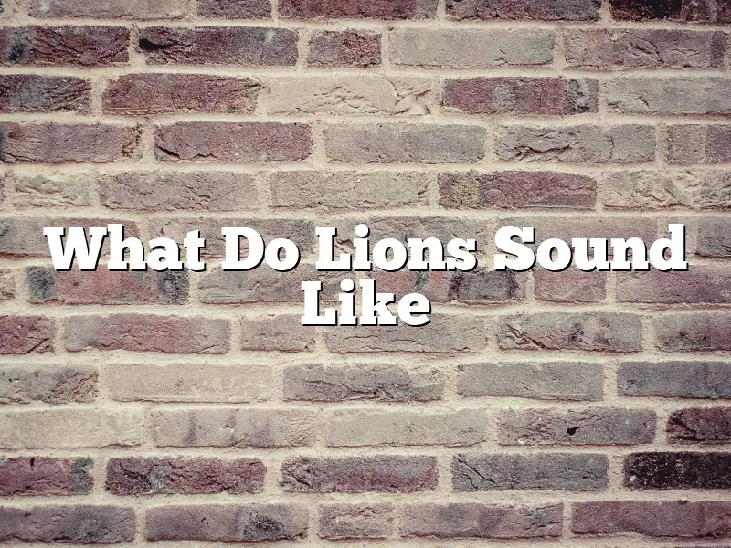 What Do Lions Sound Like