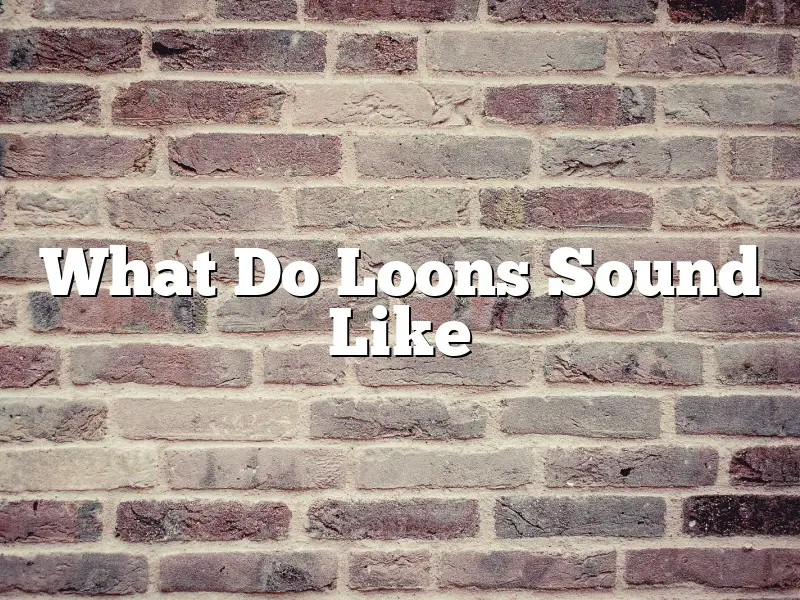 What Do Loons Sound Like