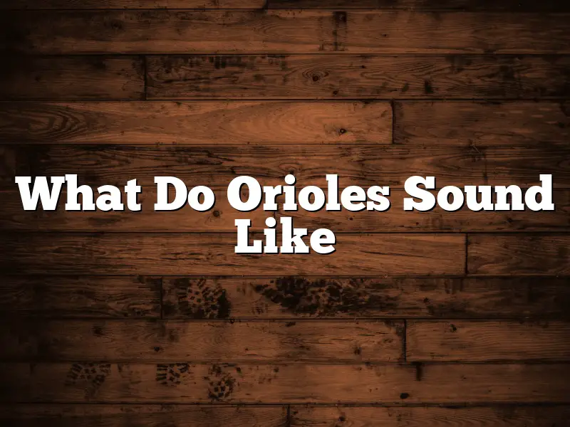 What Do Orioles Sound Like