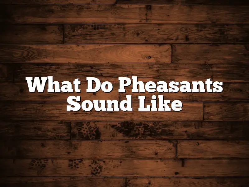 What Do Pheasants Sound Like