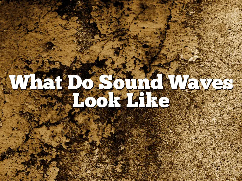 What Do Sound Waves Look Like
