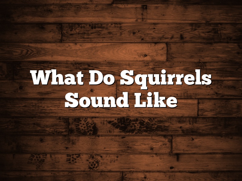 What Do Squirrels Sound Like