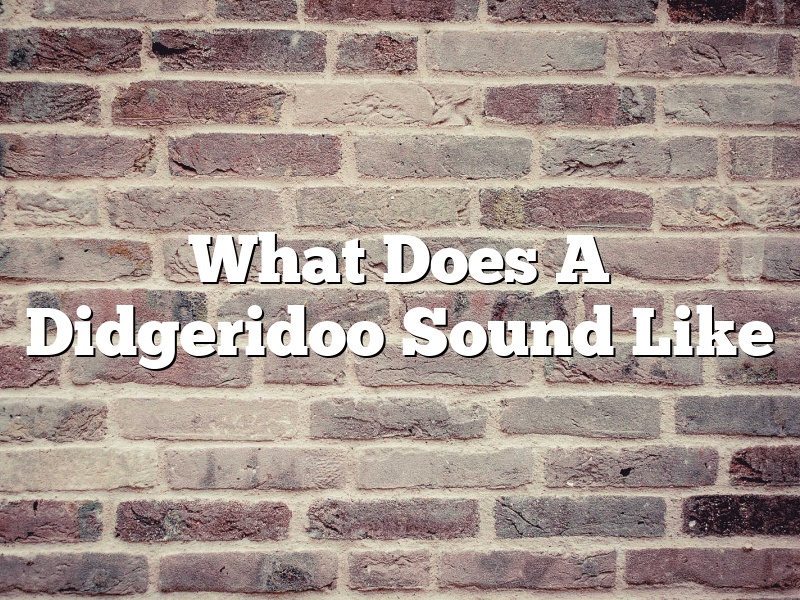 What Does A Didgeridoo Sound Like