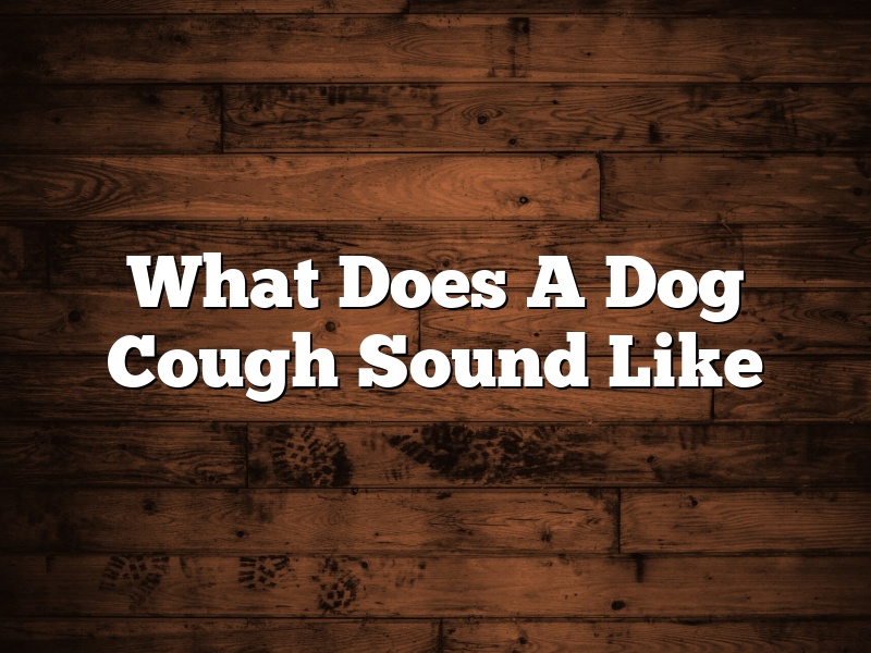 What Does A Dog Cough Sound Like