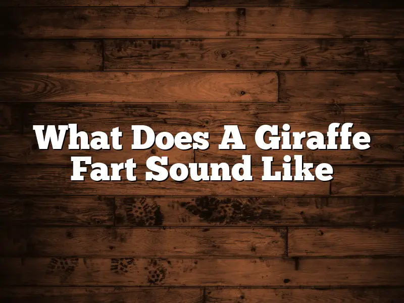 What Does A Giraffe Fart Sound Like