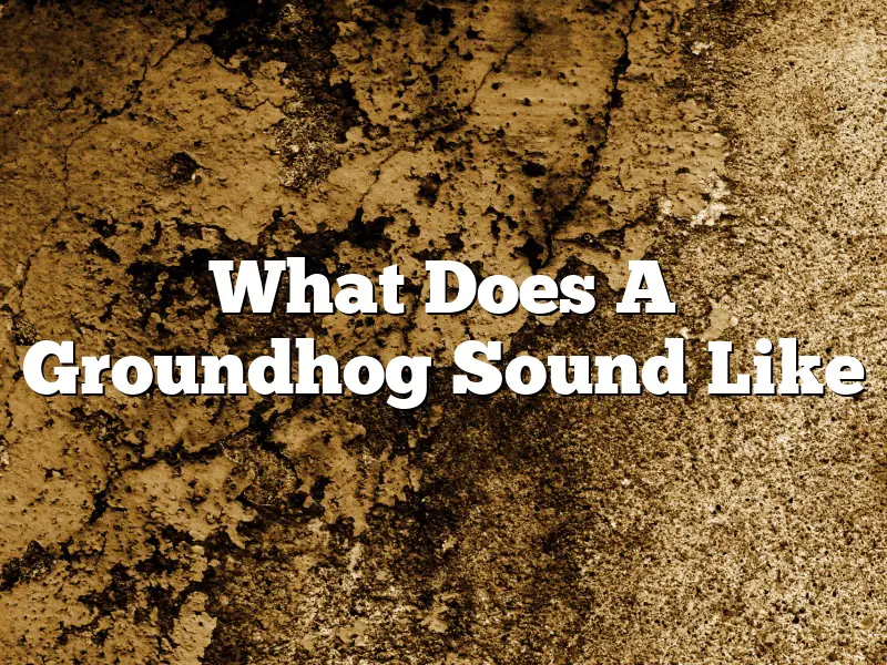What Does A Groundhog Sound Like