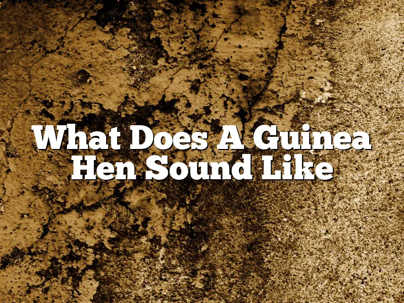 What Does A Guinea Hen Sound Like