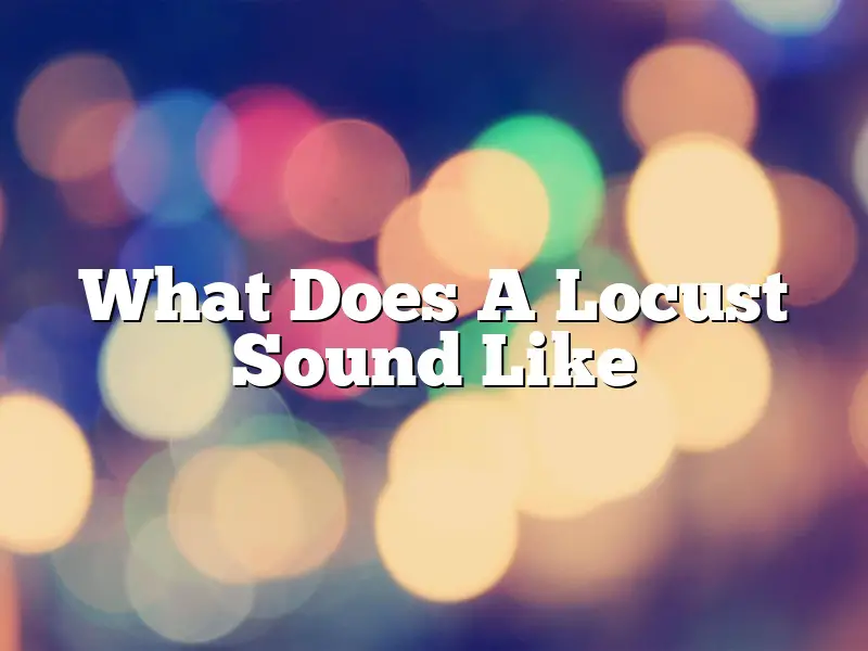 What Does A Locust Sound Like