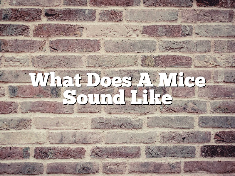 What Does A Mice Sound Like